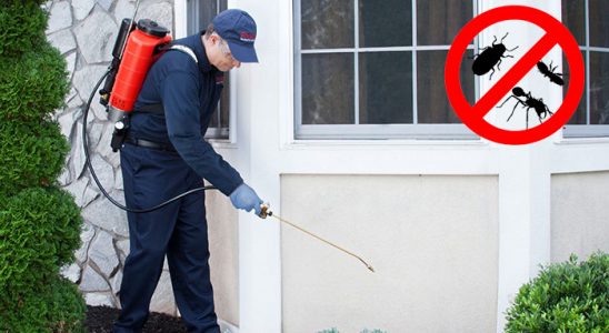 Çekerek Fare İlaçlama böcek ilaçlama ve haşere kontrolü — ilaclama-tr.com